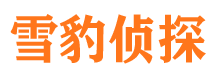 镇海侦探公司